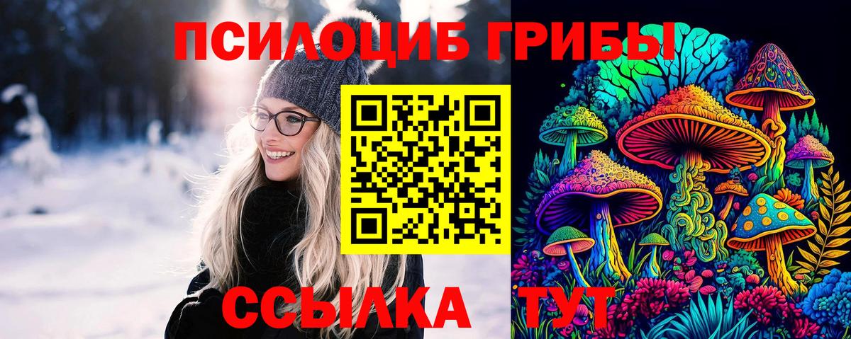 купить наркотик  Вход с VPN  Куйбышев  Галлюциногенные грибы мухоморы  Псилоцибиновые грибы MAGIC MUSHROOMS 